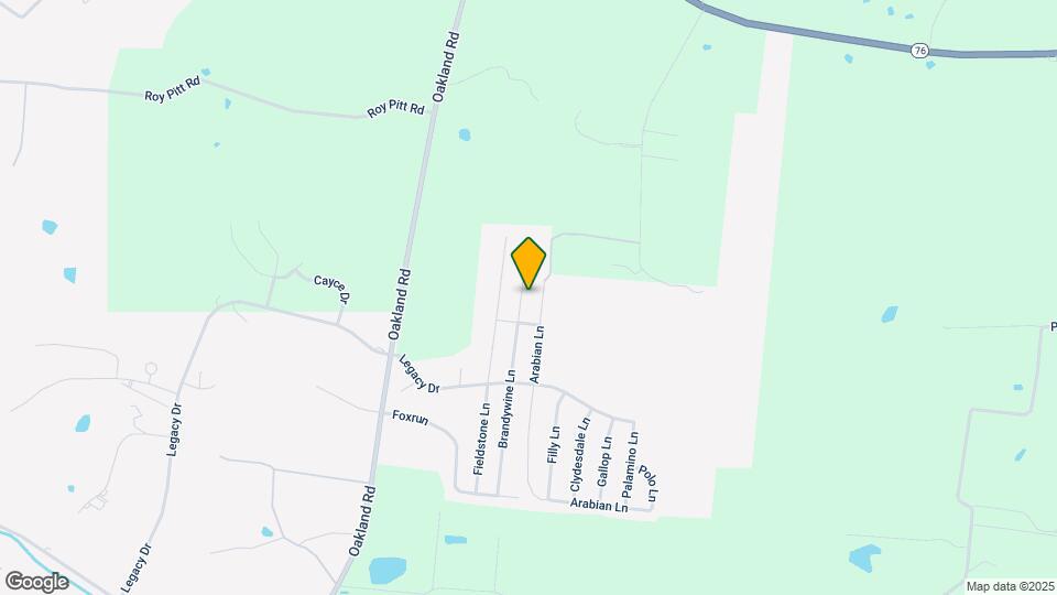 316 Brandywine Ln Map and Location Details