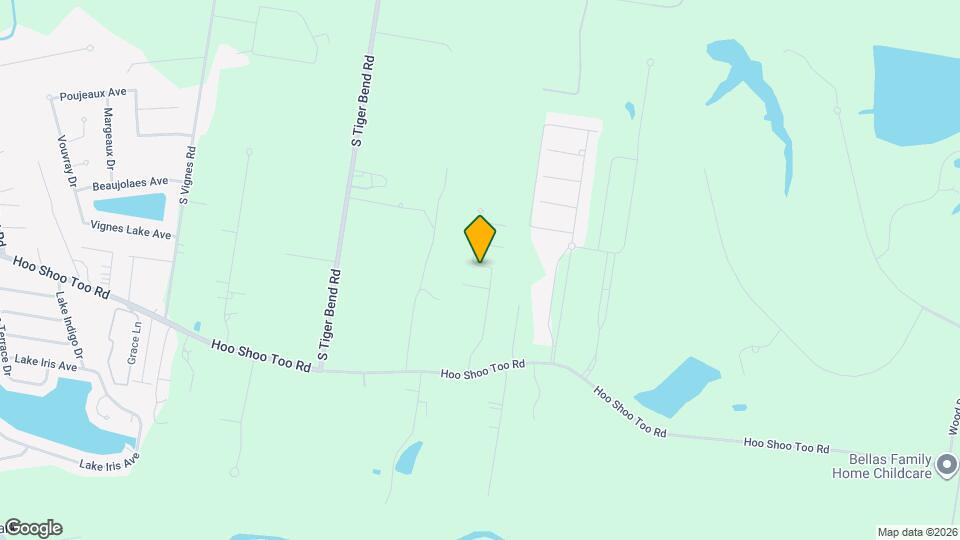 10028 Savannah Jane Ln Mapa y Detalles de la Ubicación