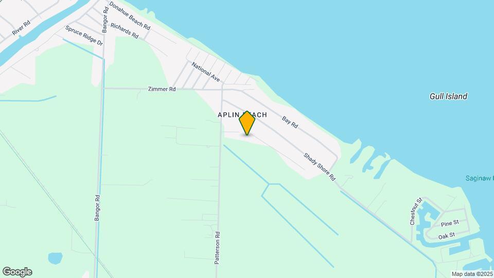 990 Pine Rd Mapa y Detalles de la Ubicación