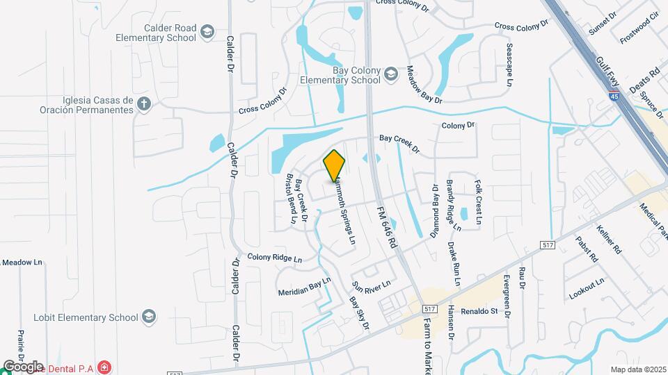 214 Mammoth Springs Ln Map and Location Details