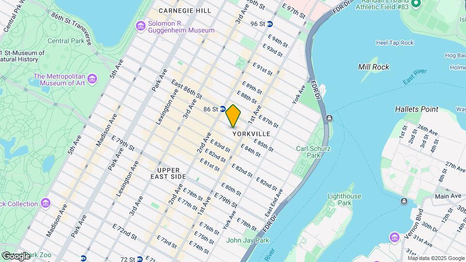 342 E 85th St Mapa y Detalles de la Ubicación