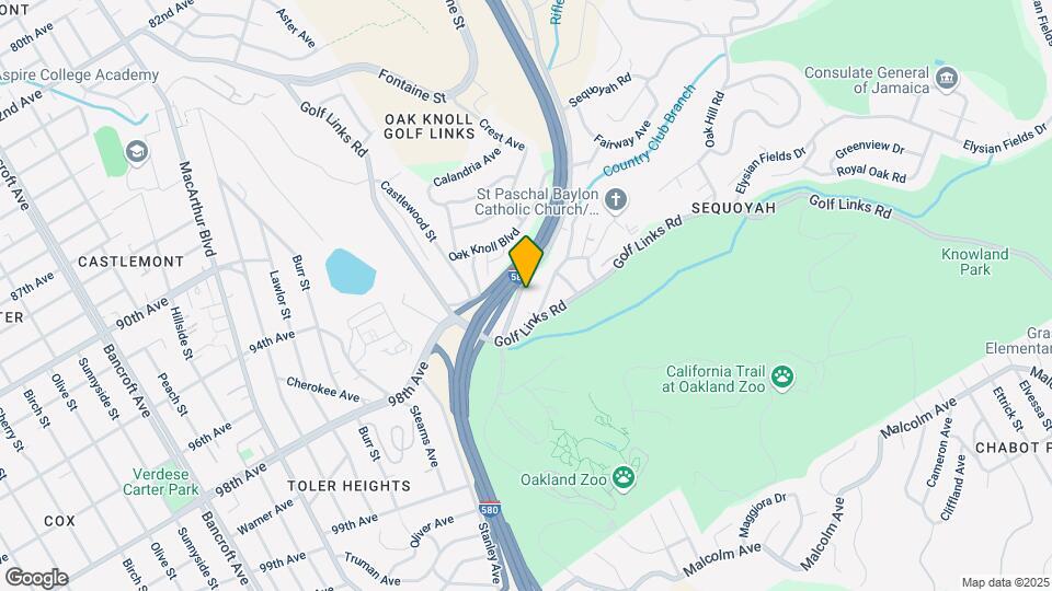 9700 Mountain Blvd Map and Location Details
