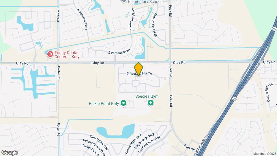 23206 N Briarlilly Park Cir Map and Location Details