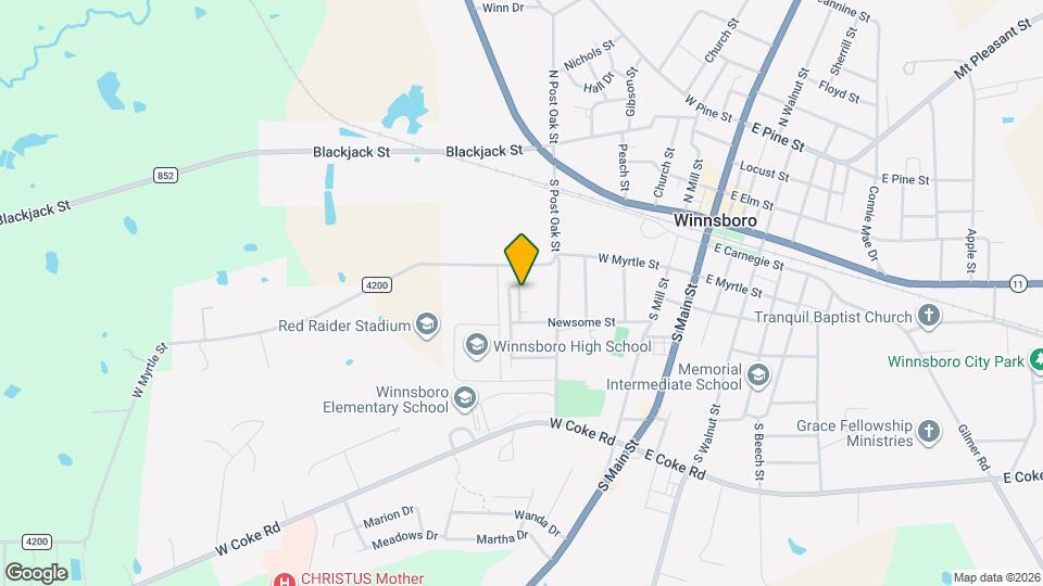 411 McKinney St Rentals in Winnsboro, TX