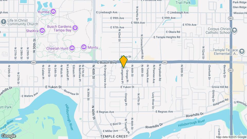 8737 N Tangerine Pl Mapa y Detalles de la Ubicación