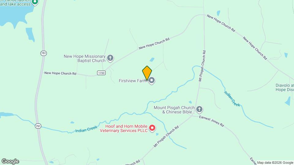 250 Paddock Dr Mapa y Detalles de la Ubicación