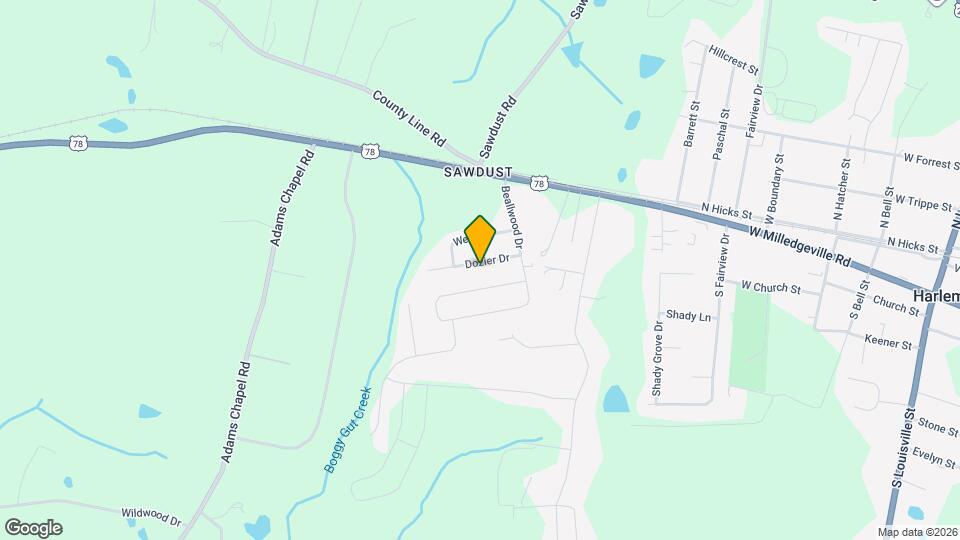 113 Dozier Dr Mapa y Detalles de la Ubicación