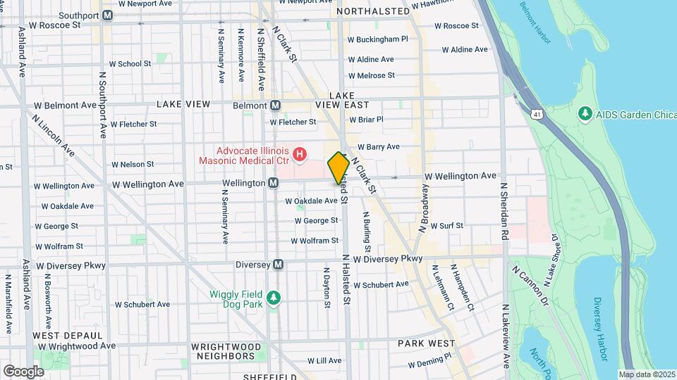 2944 N Halsted St, Unit M06B Mapa y Detalles de la Ubicación