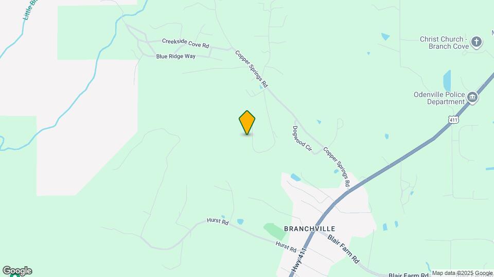 425 Anderson Mountain Dr Mapa y Detalles de la Ubicación