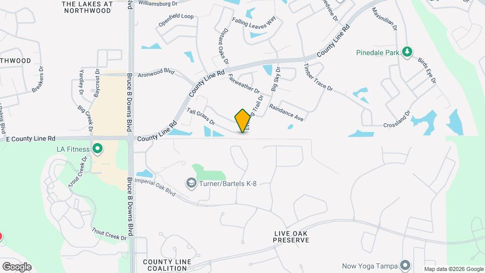 28534 Tall Grass Dr Mapa y Detalles de la Ubicación