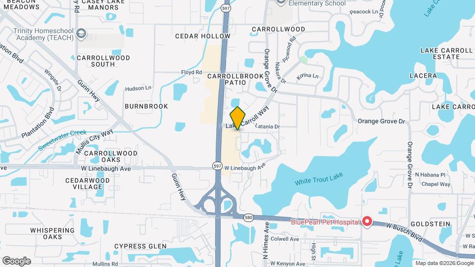 10315 Carrollwood Ln Mapa y Detalles de la Ubicación
