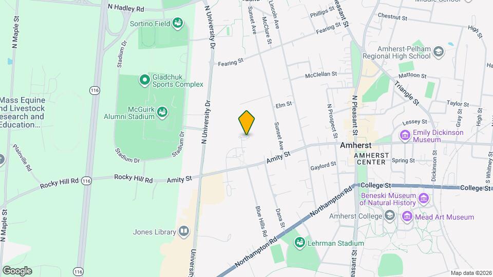 29 Amity Pl Map and Location Details