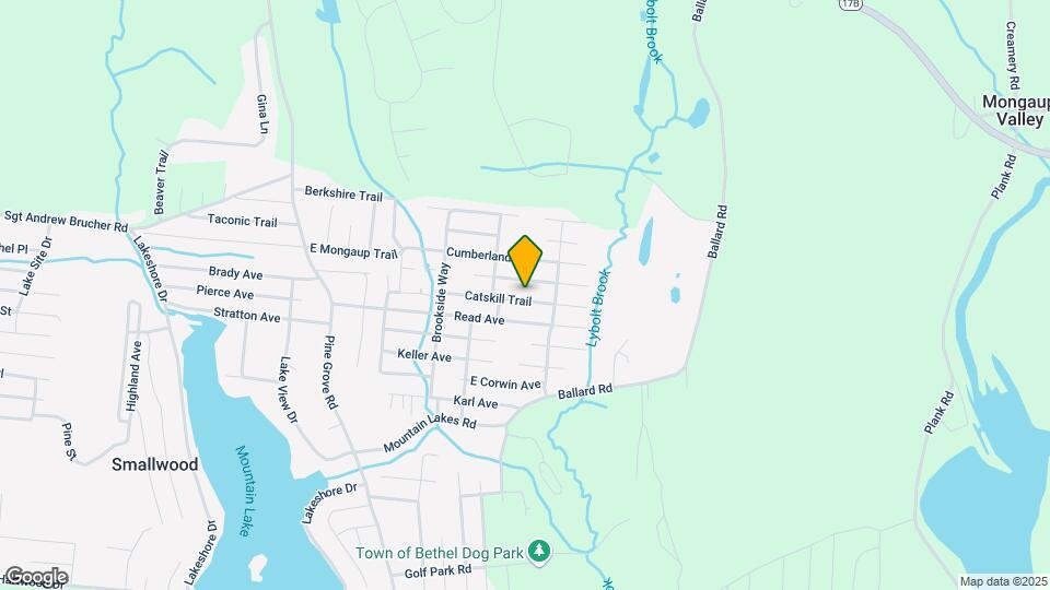 41 Catskill Trail Map and Location Details