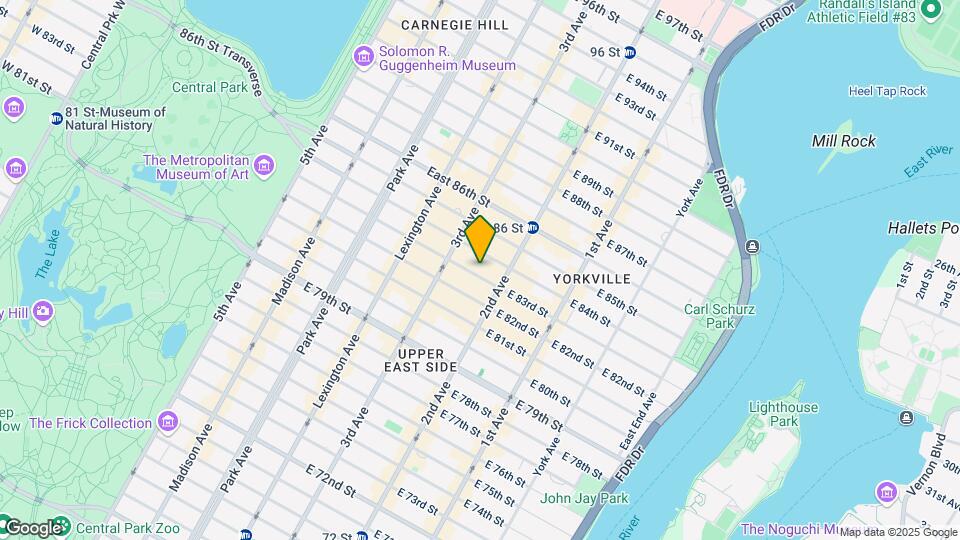 225 E 83rd St Map and Location Details