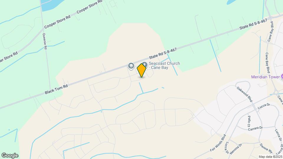 317 Calla Lily Ct Mapa y Detalles de la Ubicación