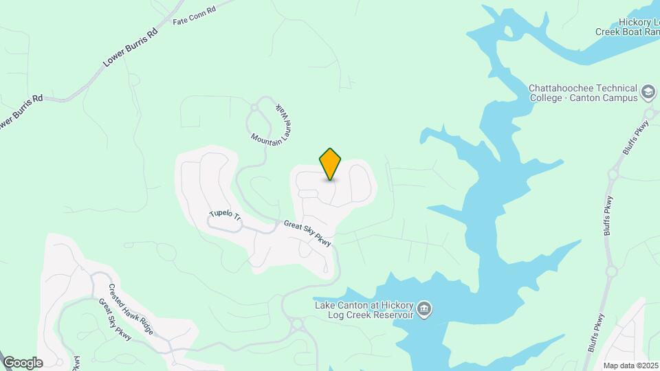 507 Blue Mountain Rise Map and Location Details