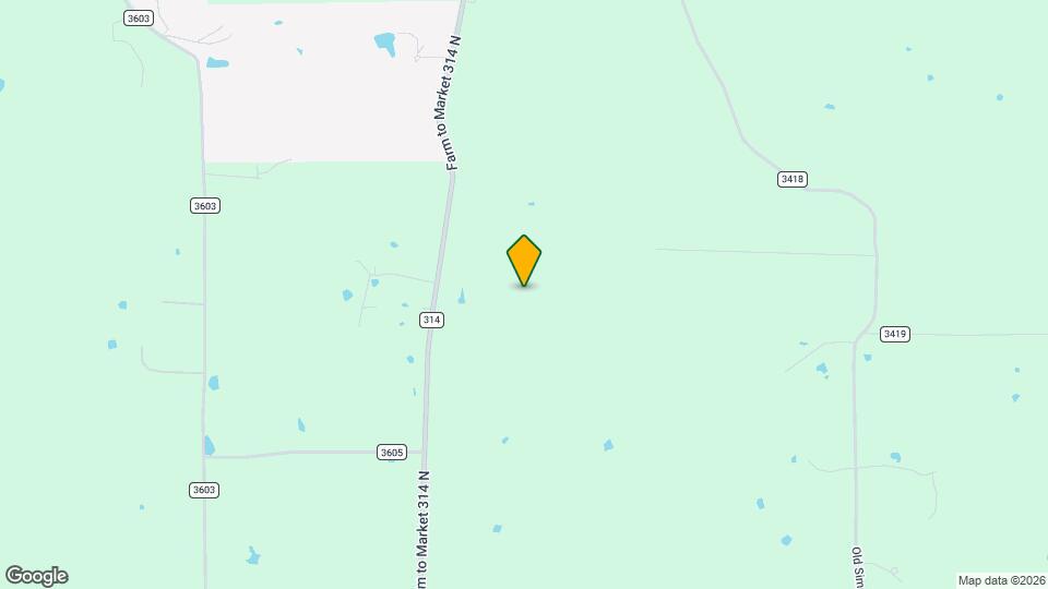 9696 FM314 Map and Location Details