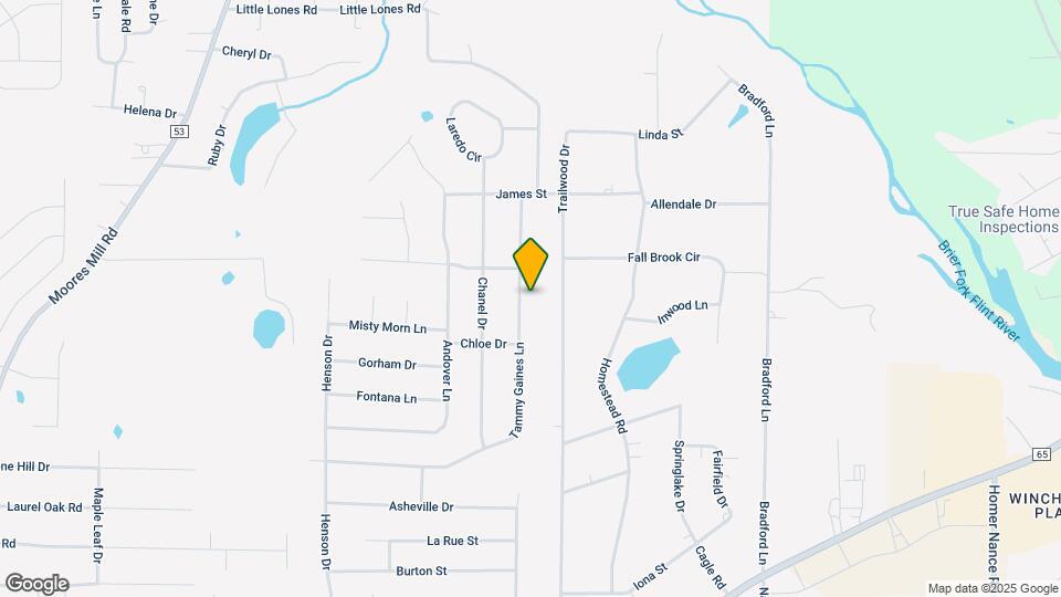 121 Tammy Gaines Ln Map and Location Details