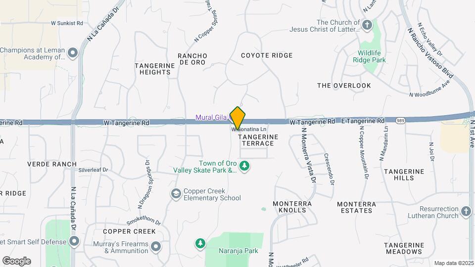 11951 N Cantata Dr Map and Location Details