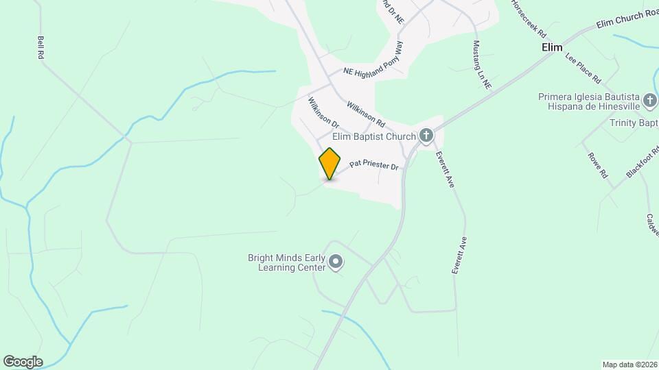 313 Pat Priester Dr Map and Location Details