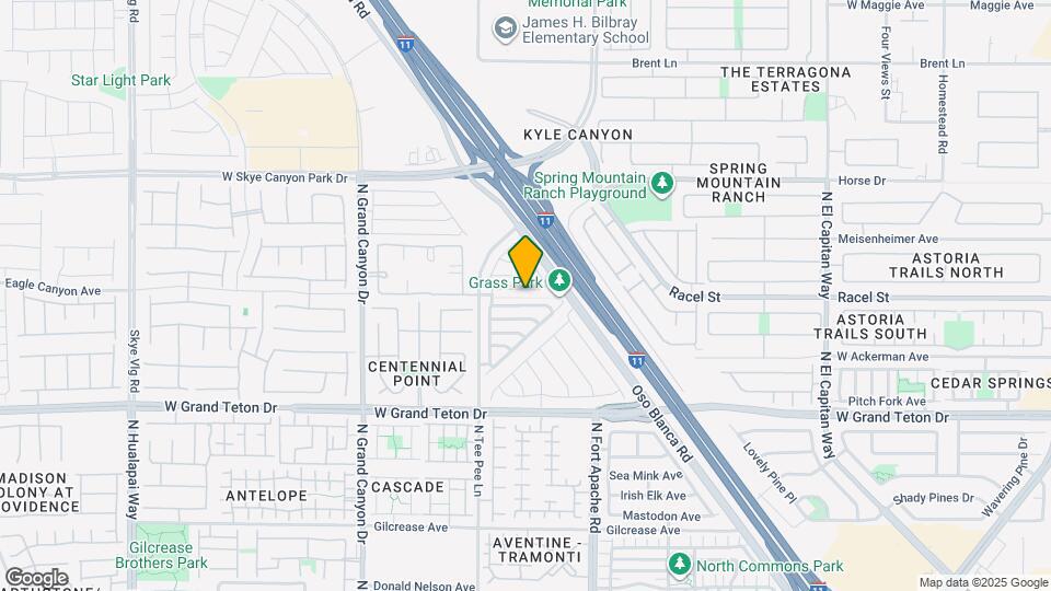 9317 Euphoria Rose Ave Mapa y Detalles de la Ubicación