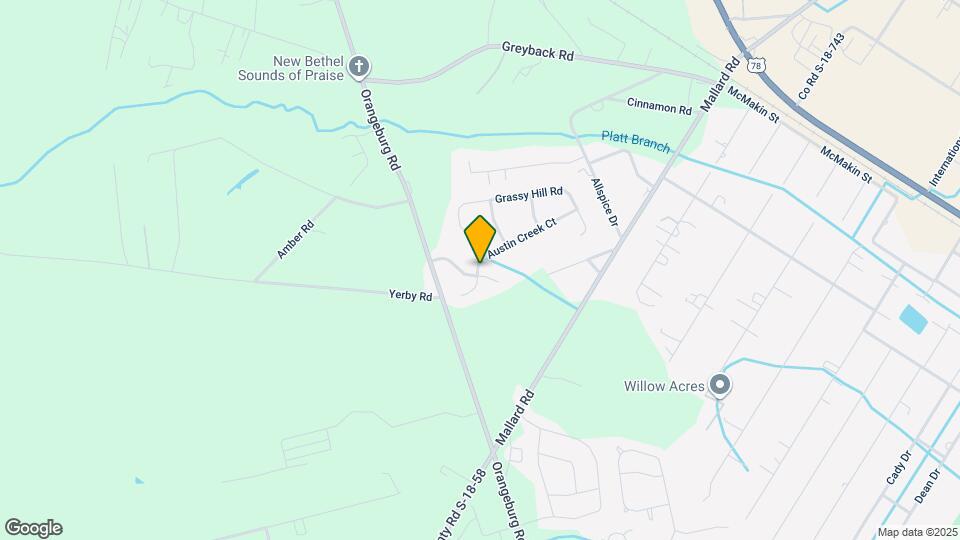 123 Salt Meadow Ln Mapa y Detalles de la Ubicación