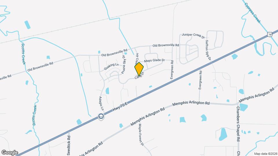 10165 Carly Dr Mapa y Detalles de la Ubicación