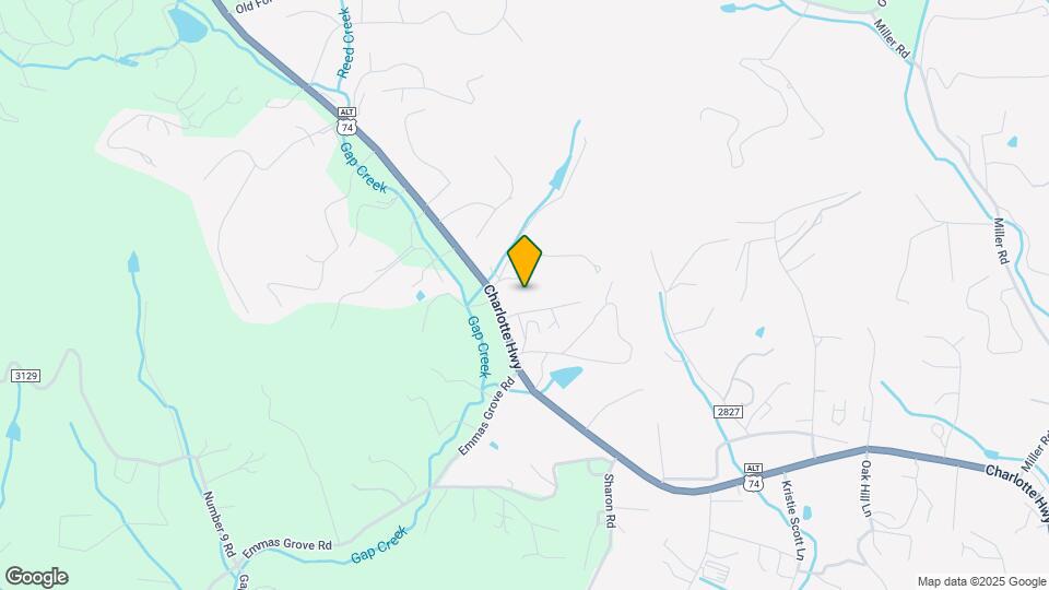 117 Paislee Pk Ct Mapa y Detalles de la Ubicación