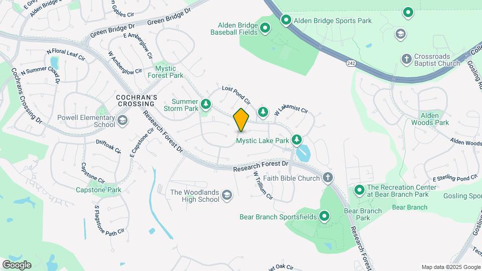 19 E Summer Storm Cir Map and Location Details