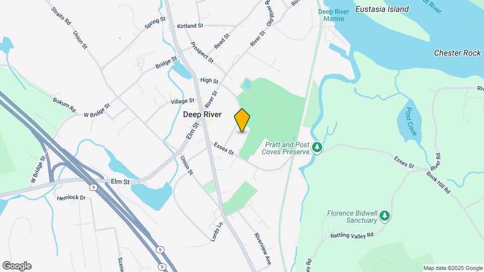 17 Platt Ln Mapa y Detalles de la Ubicación