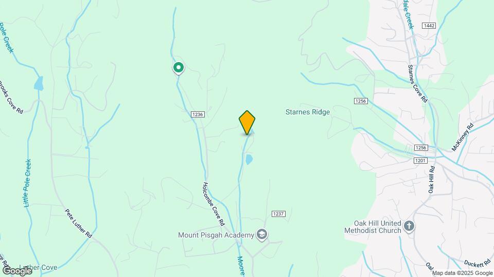 118 Holcombe Cove Rd Map and Location Details