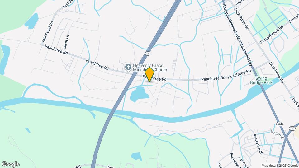 239 Brackish Dr Map and Location Details