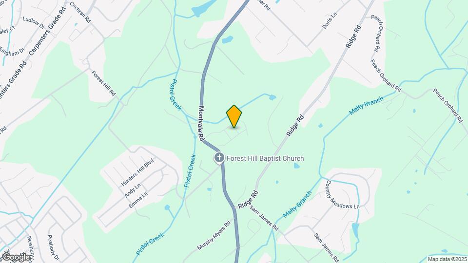 205 Pistol Crk Trl Map and Location Details