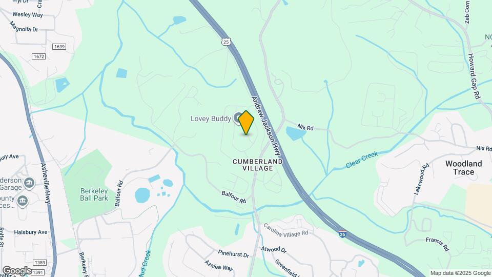41 Silverthorne Ct Map and Location Details