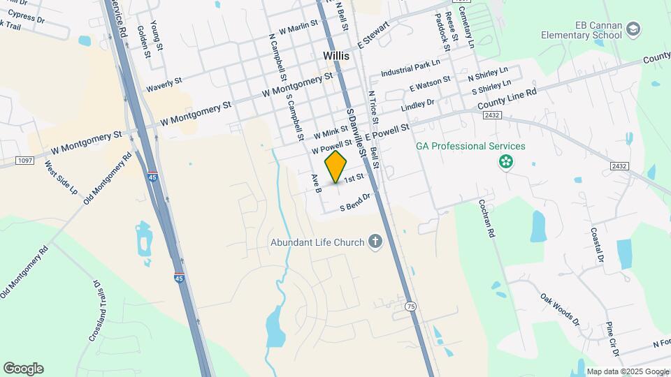 207 Avenue A Mapa y Detalles de la Ubicación