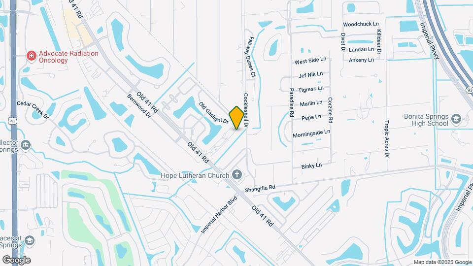 25727 Lake Amelia Way Map and Location Details