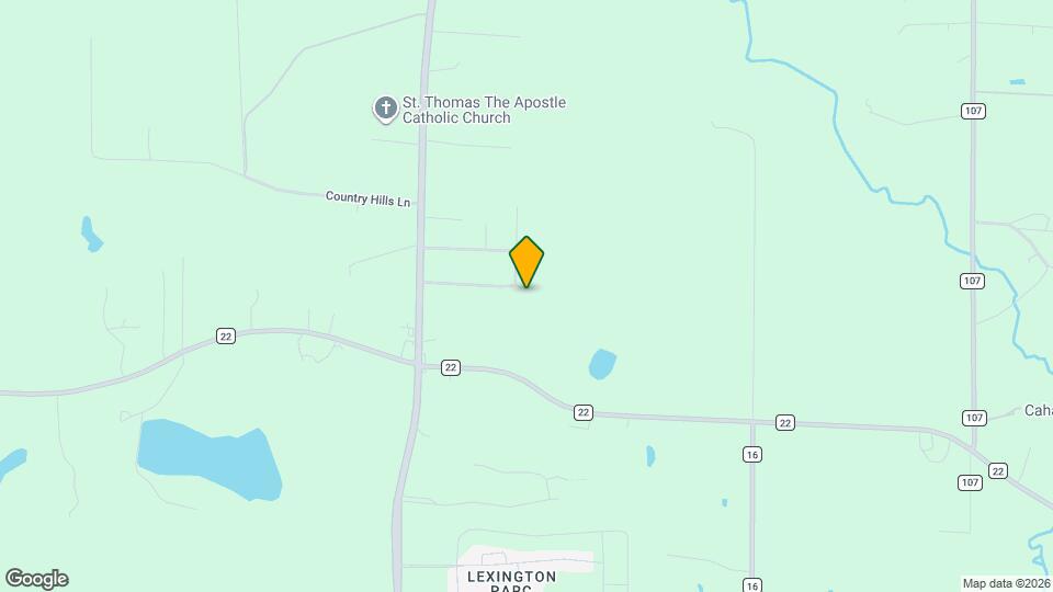 121 Meadowgreen Dr Mapa y Detalles de la Ubicación