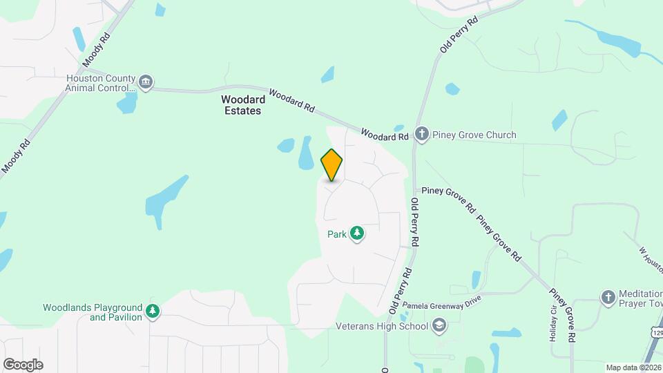 305 Pine Trace Ln Mapa y Detalles de la Ubicación