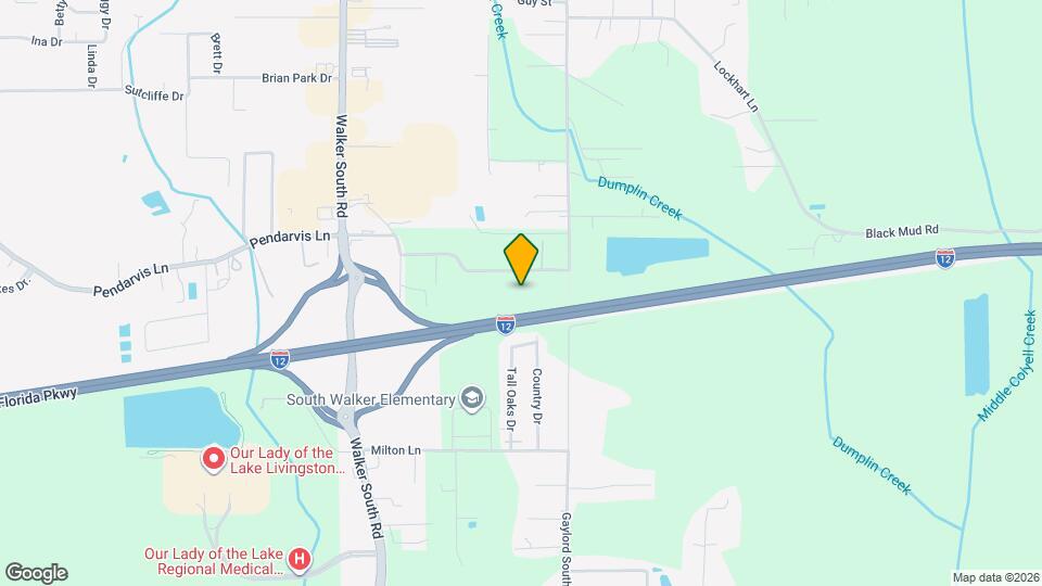 Palmetto Springs Apartments Map and Location Details