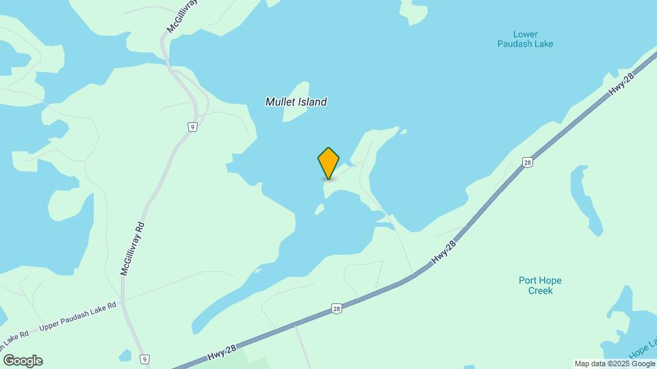 1038 Squirrel Ln Map and Location Details