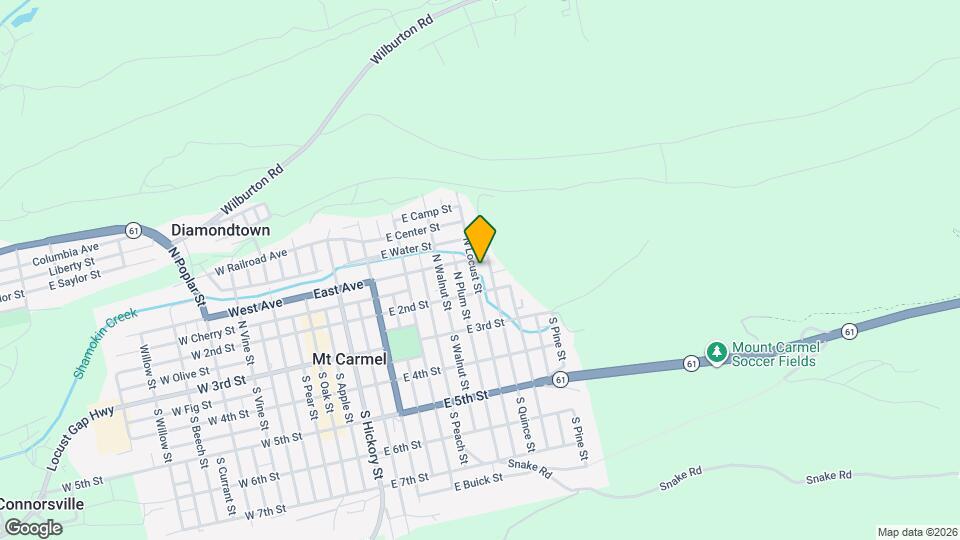 133 N Locust St Map and Location Details