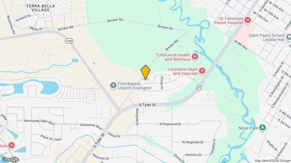 302 Cherokee Rose Ln Map and Location Details