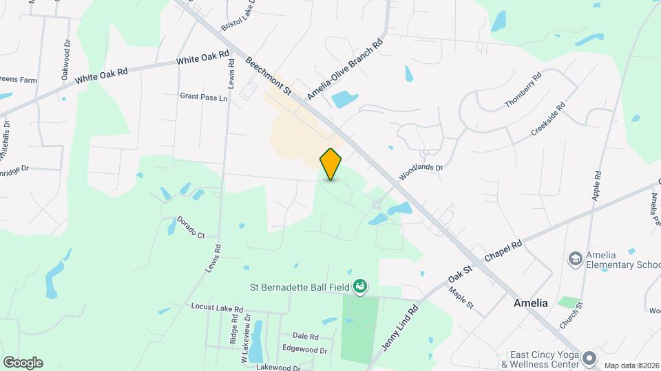 61 Snapdragon Dr Mapa y Detalles de la Ubicación