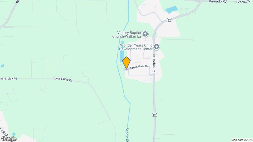 31121 Green Leaf Dr Rentals in Walker, LA