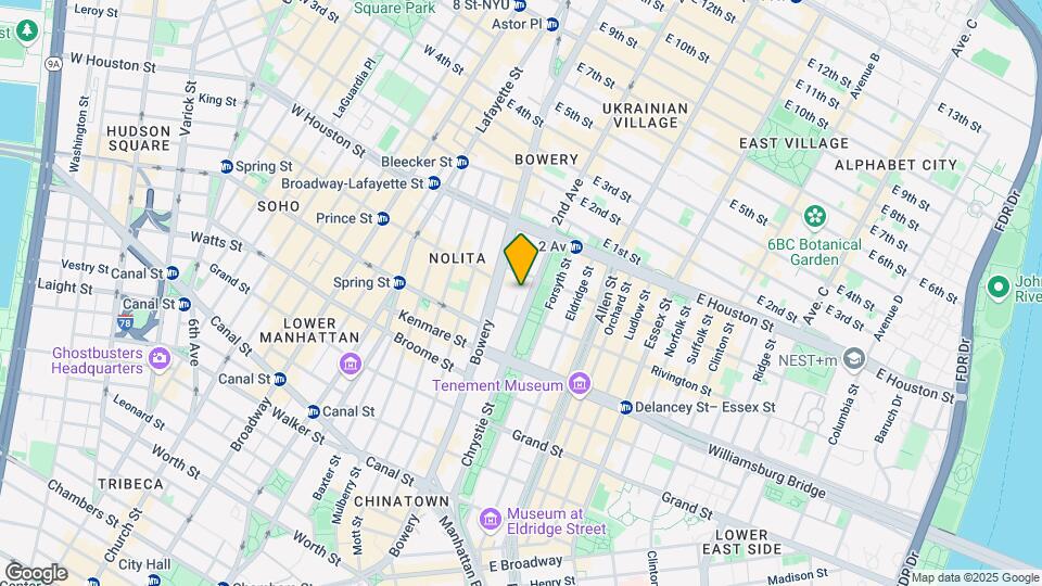 191 Chrystie St Mapa y Detalles de la Ubicación