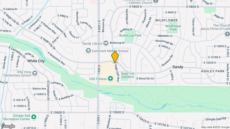 10234 Eagle Cliff Way Map and Location Details