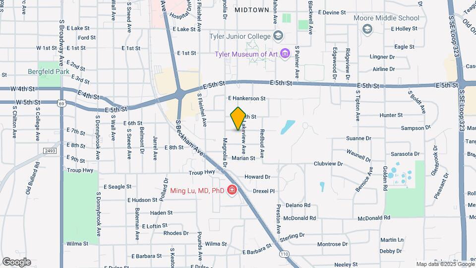 1309 San Antonio St Map and Location Details