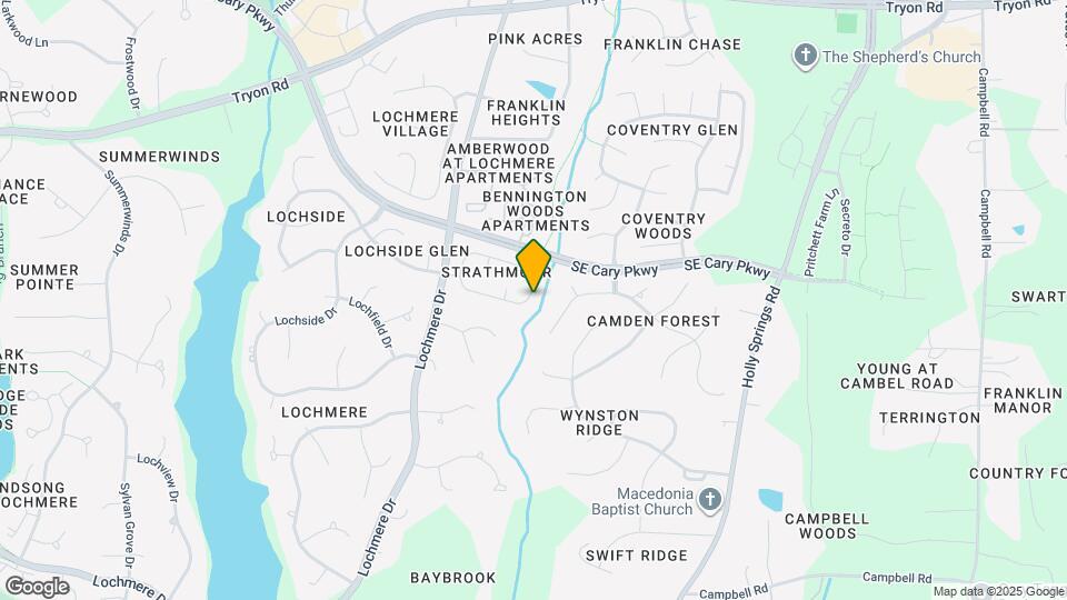 217 Strathburgh Ln Map and Location Details