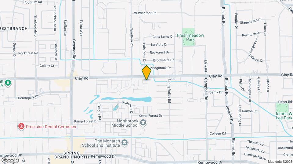 9811 Falling Fern Ln Mapa y Detalles de la Ubicación