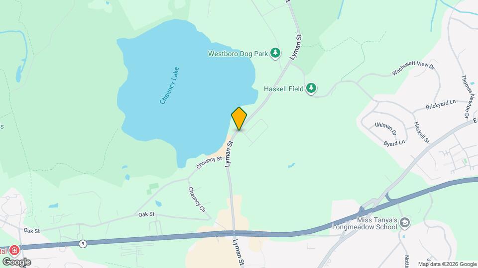 149 Lyman St Mapa y Detalles de la Ubicación